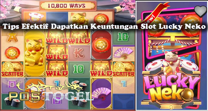 Tips Efektif Dapatkan Keuntungan Slot Lucky Neko